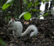 2016 06 11 WildLife MPLS 079